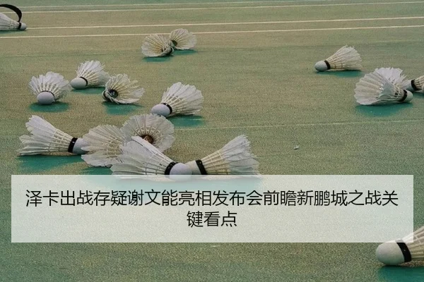 泽卡出战存疑谢文能亮相发布会前瞻新鹏城之战关键看点